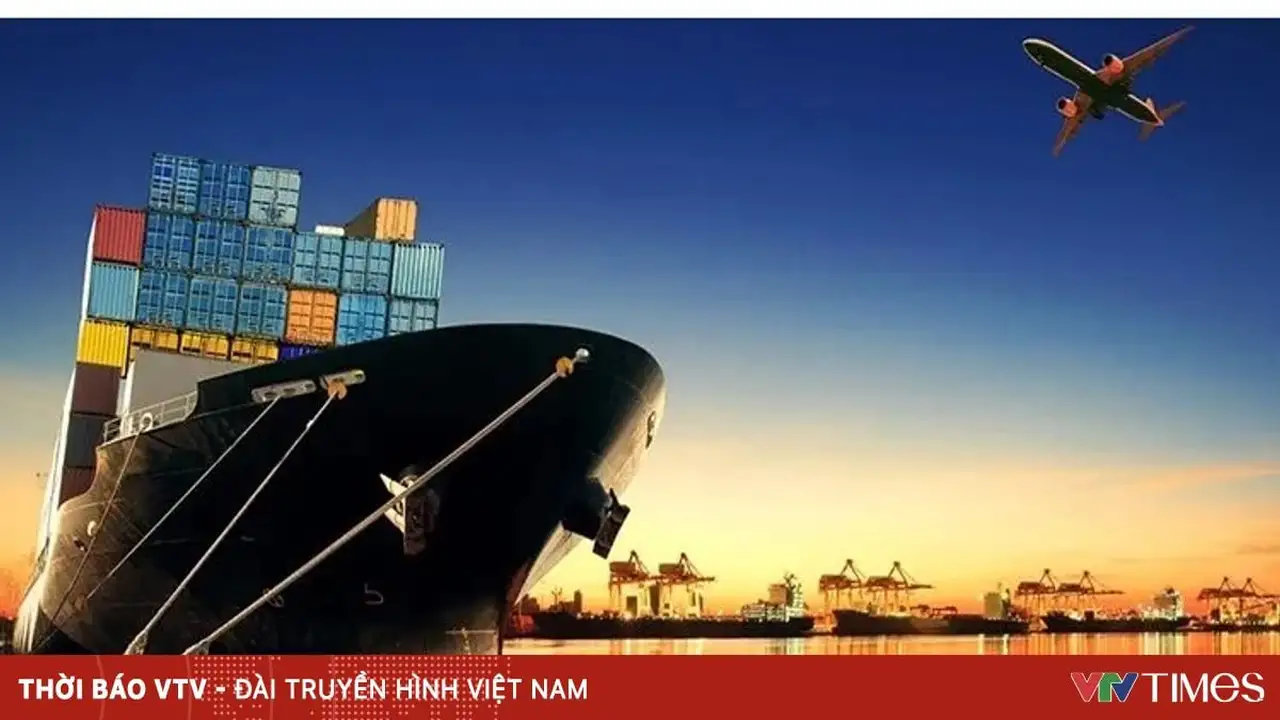 شركات الاستيراد تواجه تقلبات الدولار الأمريكي بالبحث عن استراتيجيات تكيف جديدة